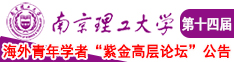 空姐吃鸡巴南京理工大学第十四届海外青年学者紫金论坛诚邀海内外英才！